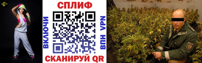 Купить наркотики цена Салехард Бошки Шишки Меф APVP Гашиш Героин КОКАИН