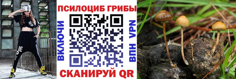 Псилоцибиновые грибы мухоморы  Салехард 